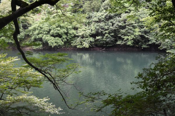 Okutama – Ohtama Walking Trail