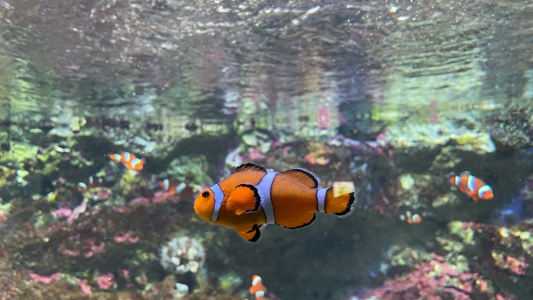 Sunshine Aquarium – Ikebukuro, Tokyo