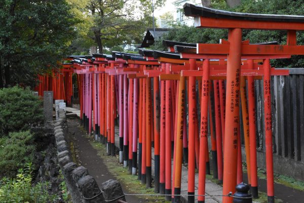 Nezu-Jinja – “A Thousand” Tori Gates in Tokyo