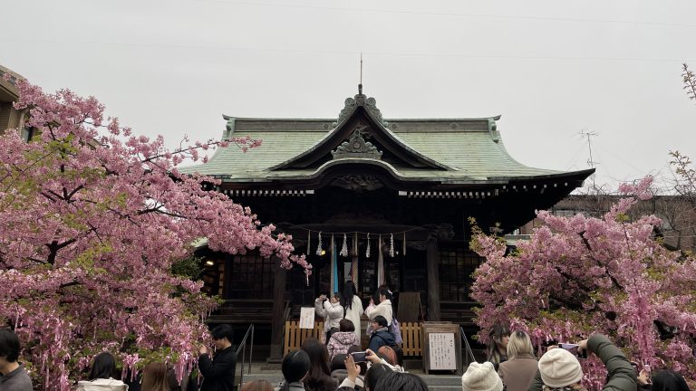 Sakura Jingu – A Japanese Shrine Dedicated To Sakura