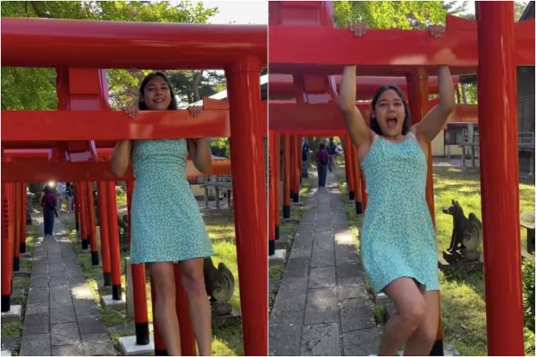 Nuisance Foreigners In Japan – What Can Be Done?